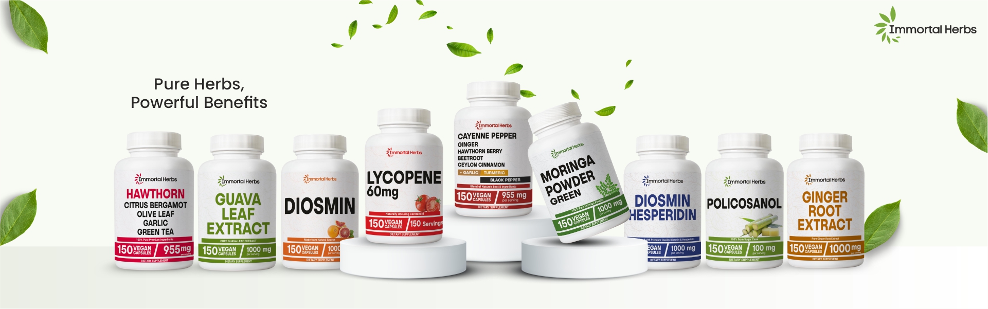 banner01 19200 x 600 px