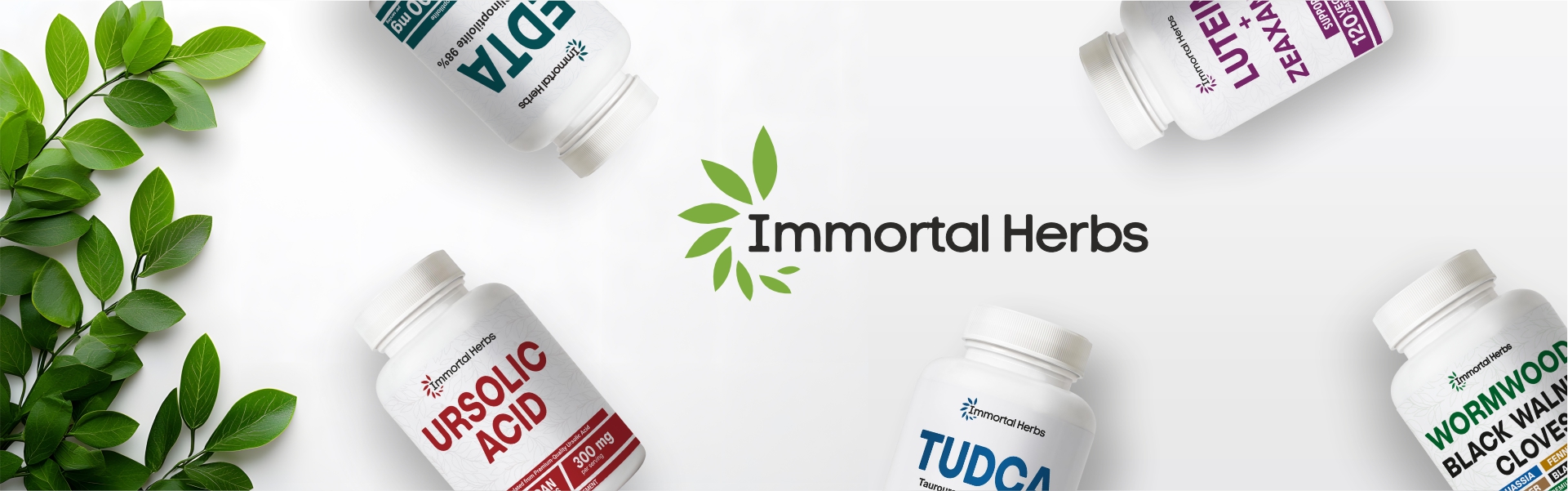 banner03 19200 x 600 px